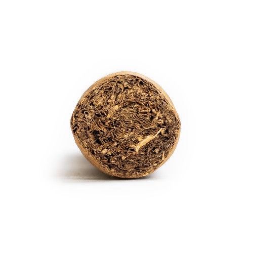 Casa Turrent Origenes Miami Cigar - 1 Single